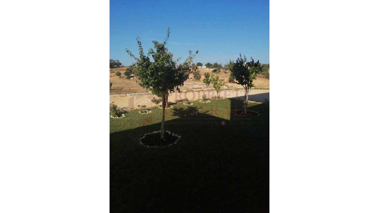 Quinta T4 para Venda em Guia Foto 6