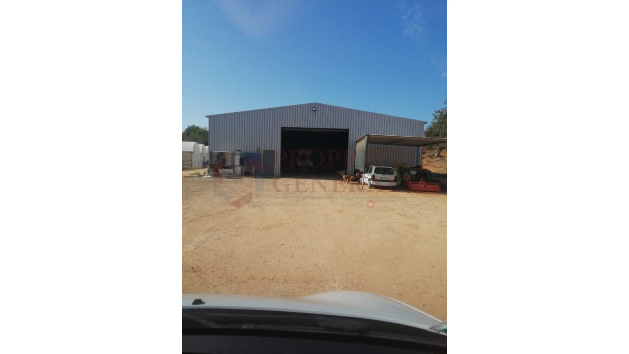 Quinta T4 para Venda em Guia Foto 10