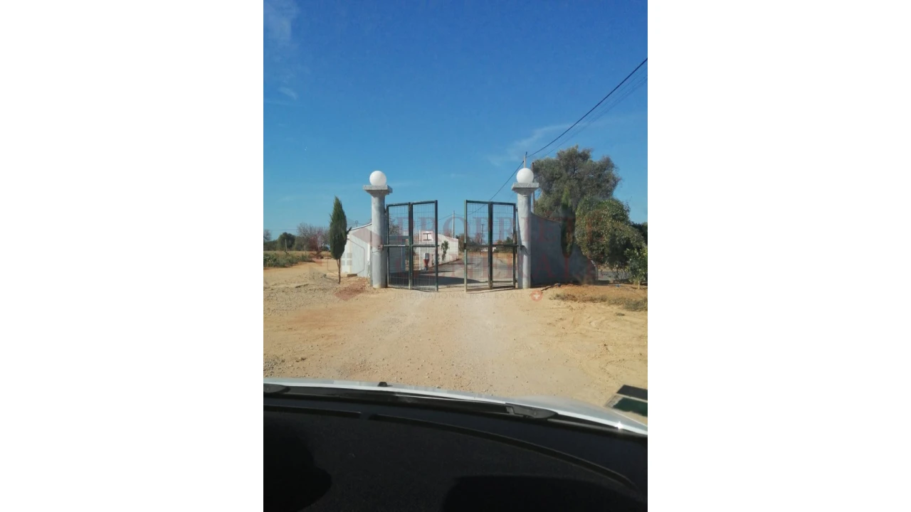 Quinta T4 para Venda em Guia Foto 5