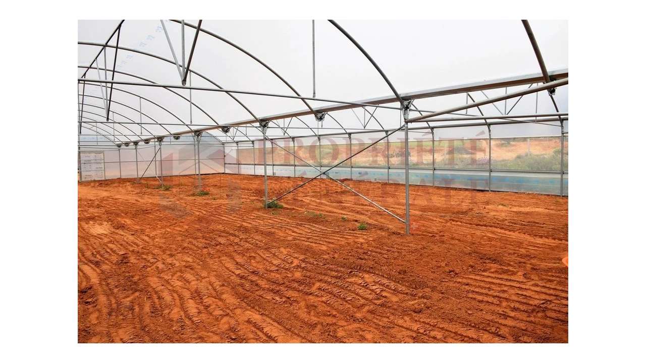 Quinta T4 para Venda em Guia Foto 1