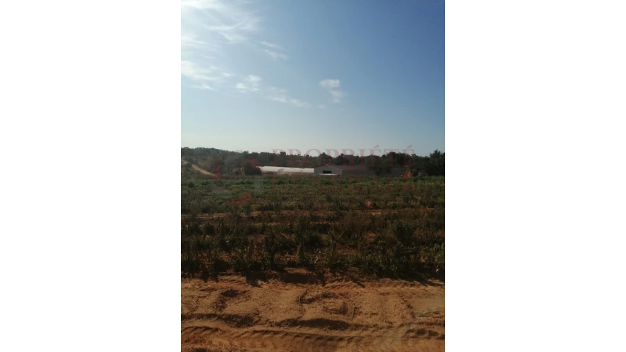 Quinta T4 para Venda em Guia Foto 8