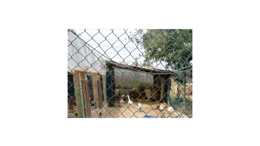 Quinta T4 para Venda em Guia Foto 3