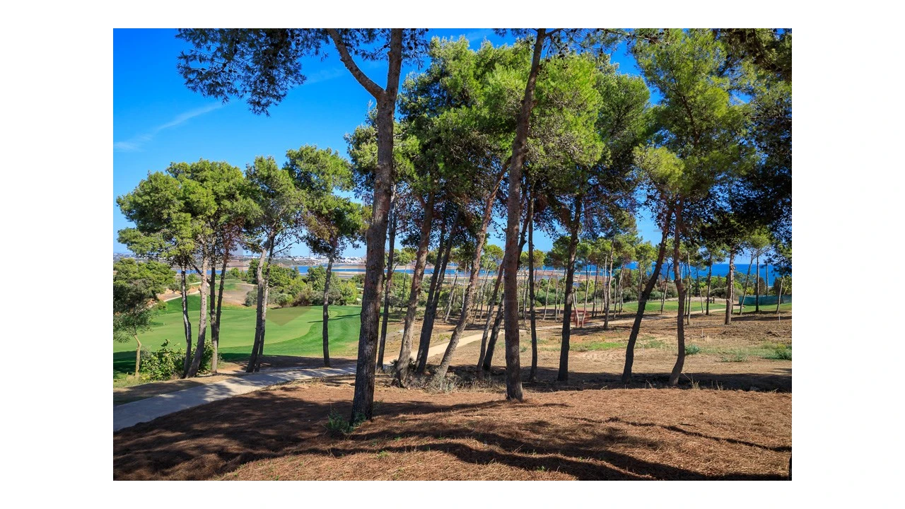 Apartamento T1 para Venda em Odiaxere Foto 21