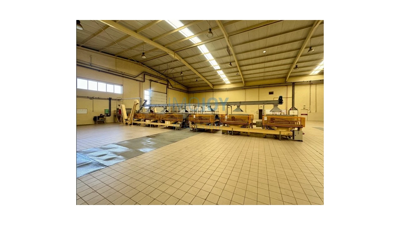 Armazém para Venda em Gavião e Atalaia Foto 12