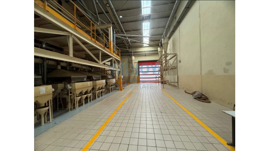 Armazém para Venda em Gavião e Atalaia Foto 8