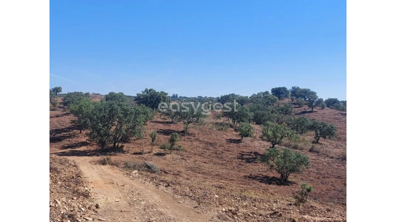 Quinta T2 para Venda em Santana da Serra Foto 5
