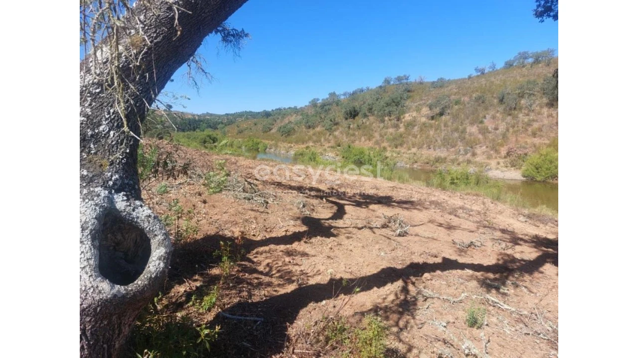 Quinta T2 para Venda em Santana da Serra Foto 8