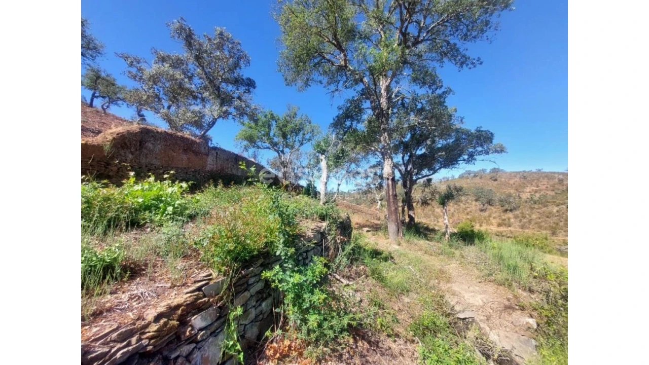 Quinta T2 para Venda em Santana da Serra Foto 16