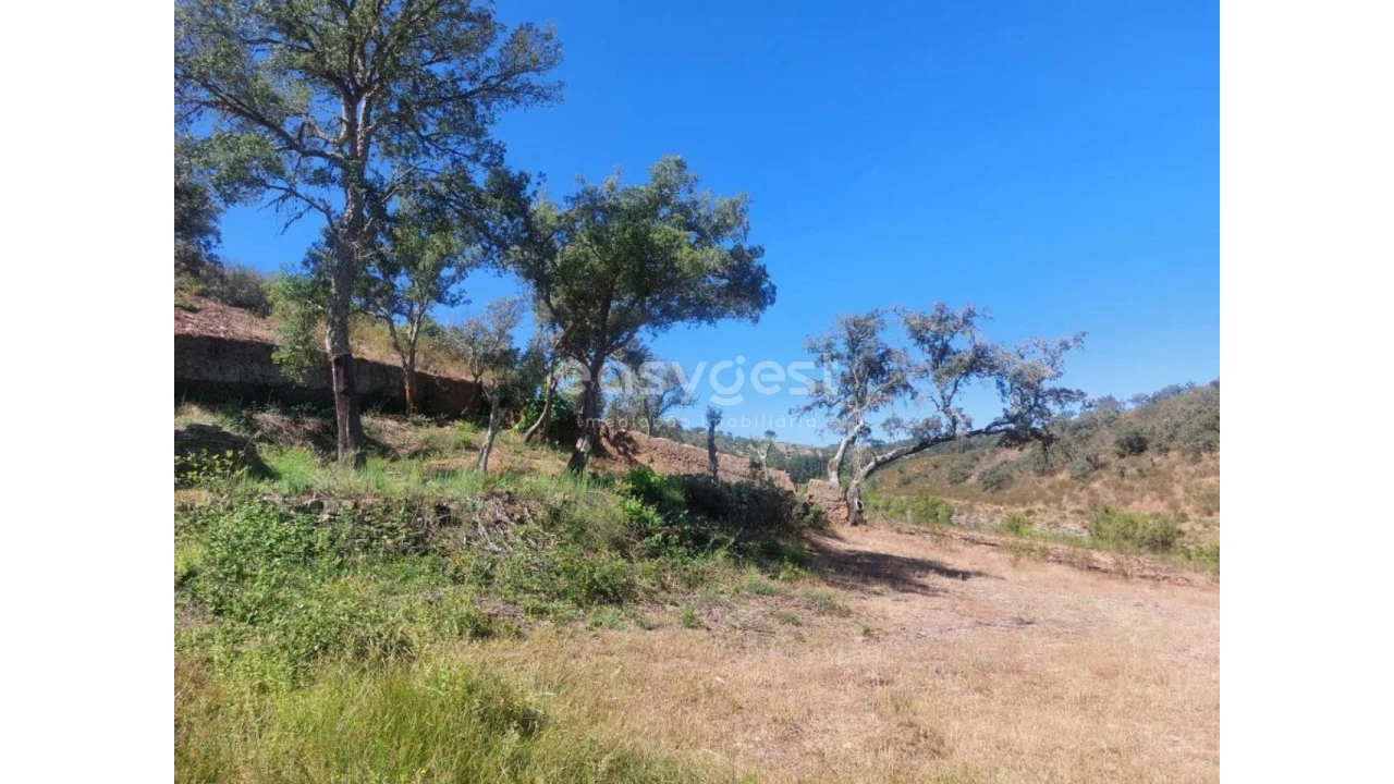 Quinta T2 para Venda em Santana da Serra Foto 19