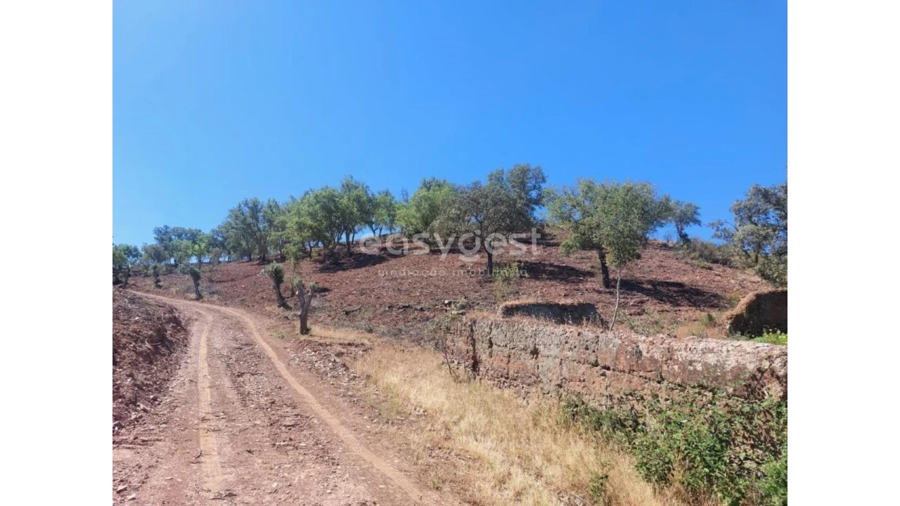 Quinta T2 para Venda em Santana da Serra Foto 20