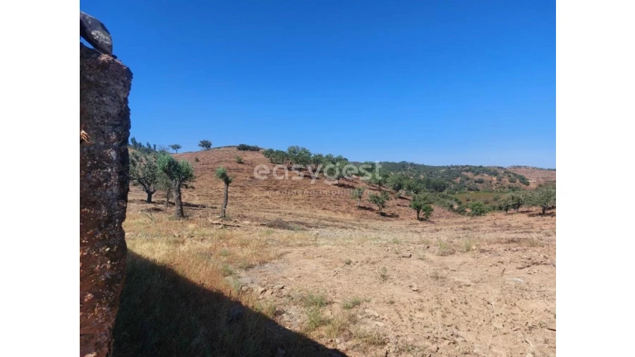 Quinta T2 para Venda em Santana da Serra Foto 4