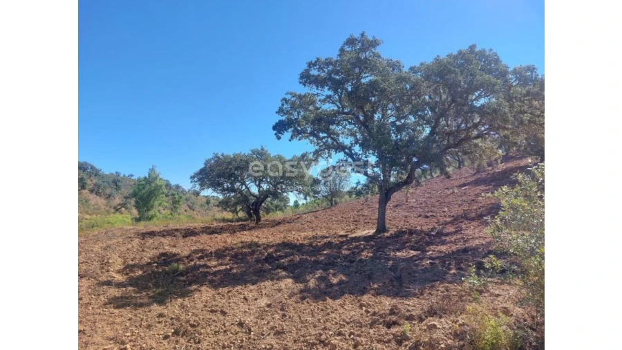 Quinta T2 para Venda em Santana da Serra Foto 11