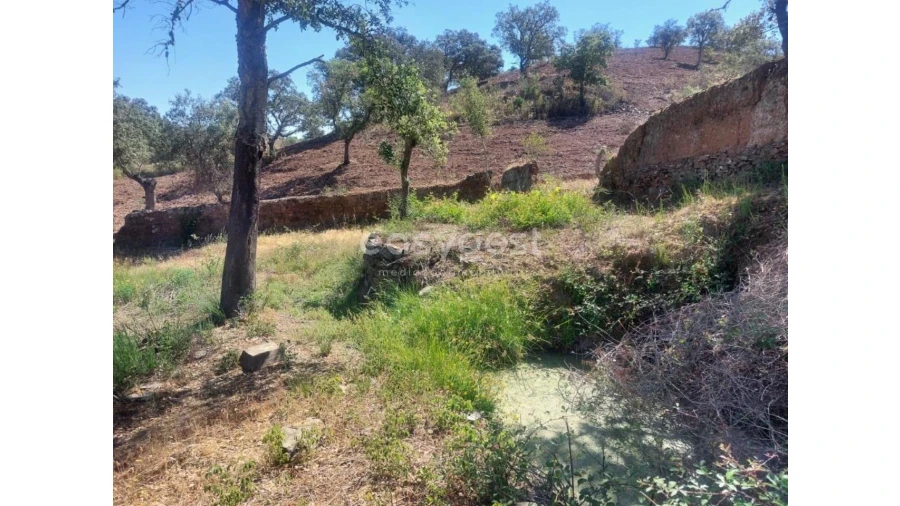 Quinta T2 para Venda em Santana da Serra Foto 12