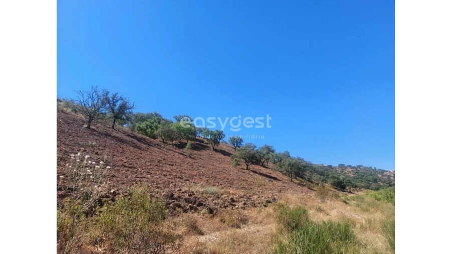 Quinta T2 para Venda em Santana da Serra Foto 14