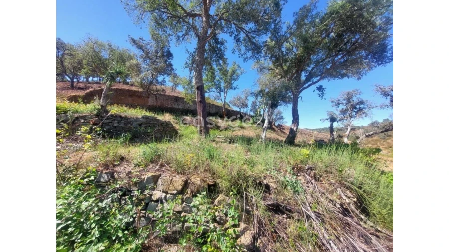 Quinta T2 para Venda em Santana da Serra Foto 15