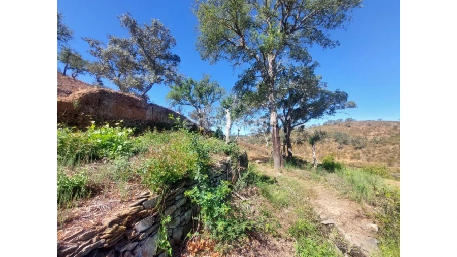 Quinta T2 para Venda em Santana da Serra Foto 16