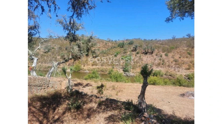 Quinta T2 para Venda em Santana da Serra Foto 18