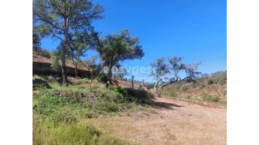 Quinta T2 para Venda em Santana da Serra Foto 19