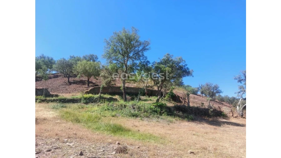 Quinta T2 para Venda em Santana da Serra Foto 24