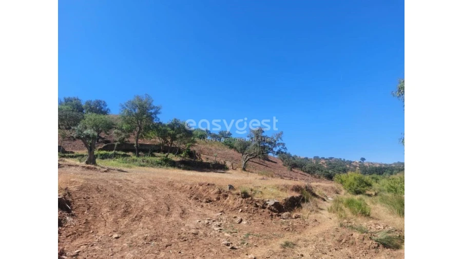 Quinta T2 para Venda em Santana da Serra Foto 26