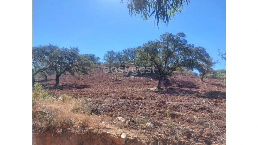 Quinta T2 para Venda em Santana da Serra Foto 27