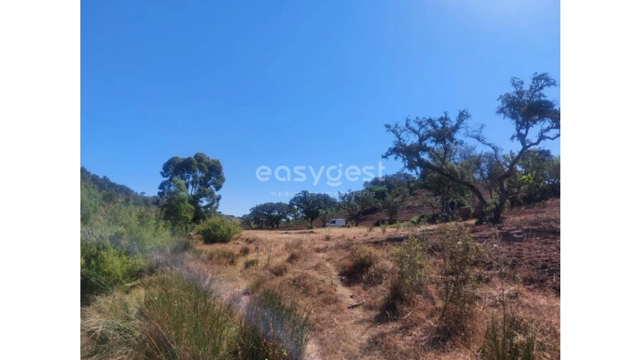 Quinta T2 para Venda em Santana da Serra Foto 28