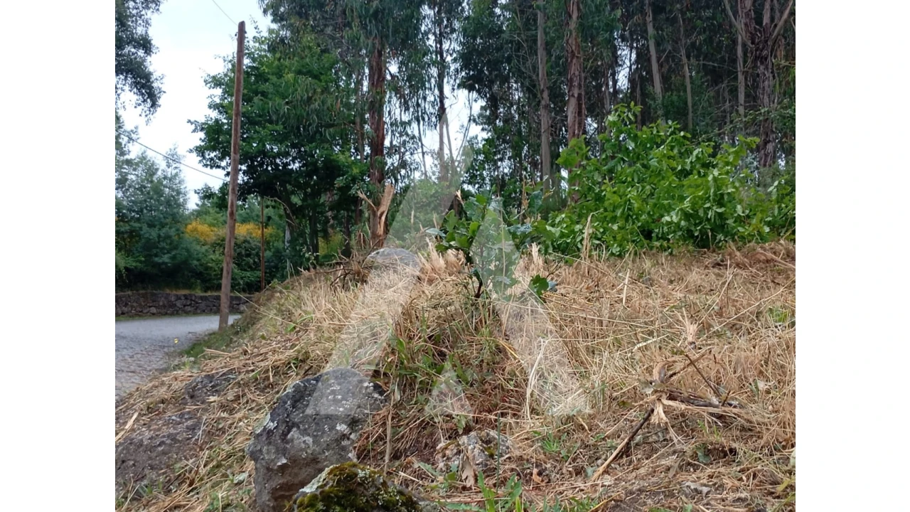 Terreno para Venda em Guilhufe e Urrô Foto 3