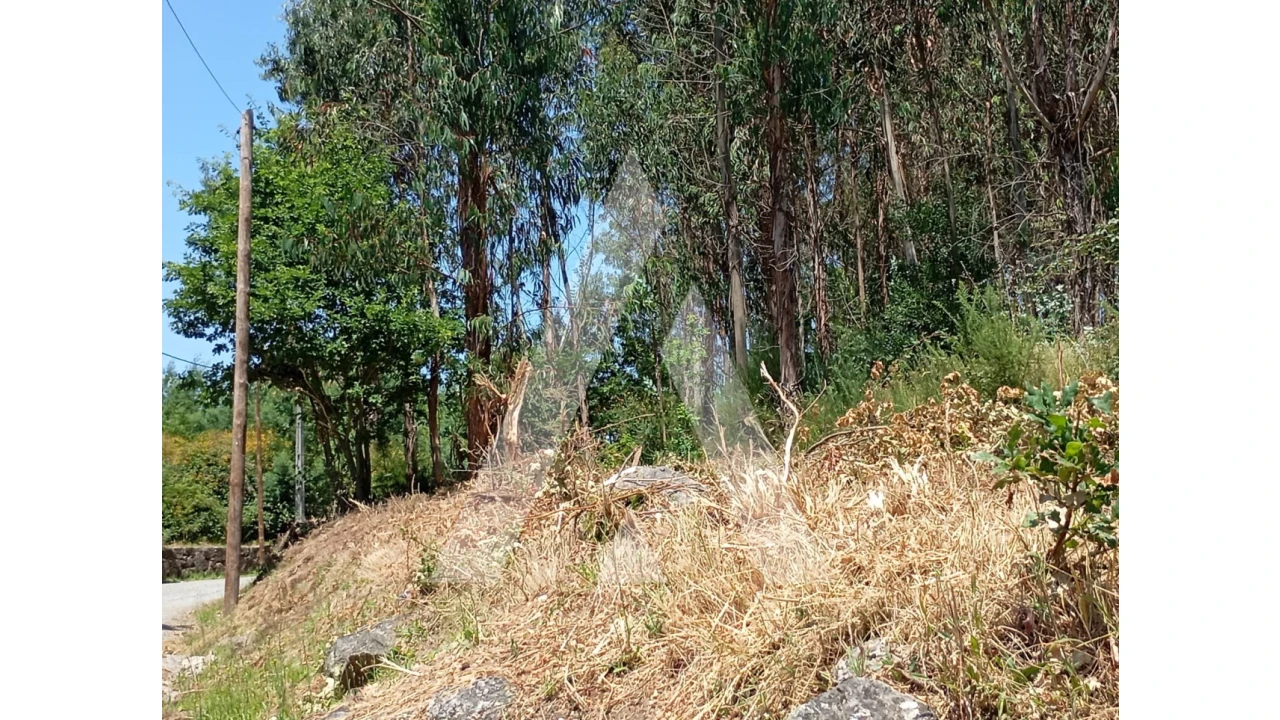 Terreno para Venda em Guilhufe e Urrô Foto 4