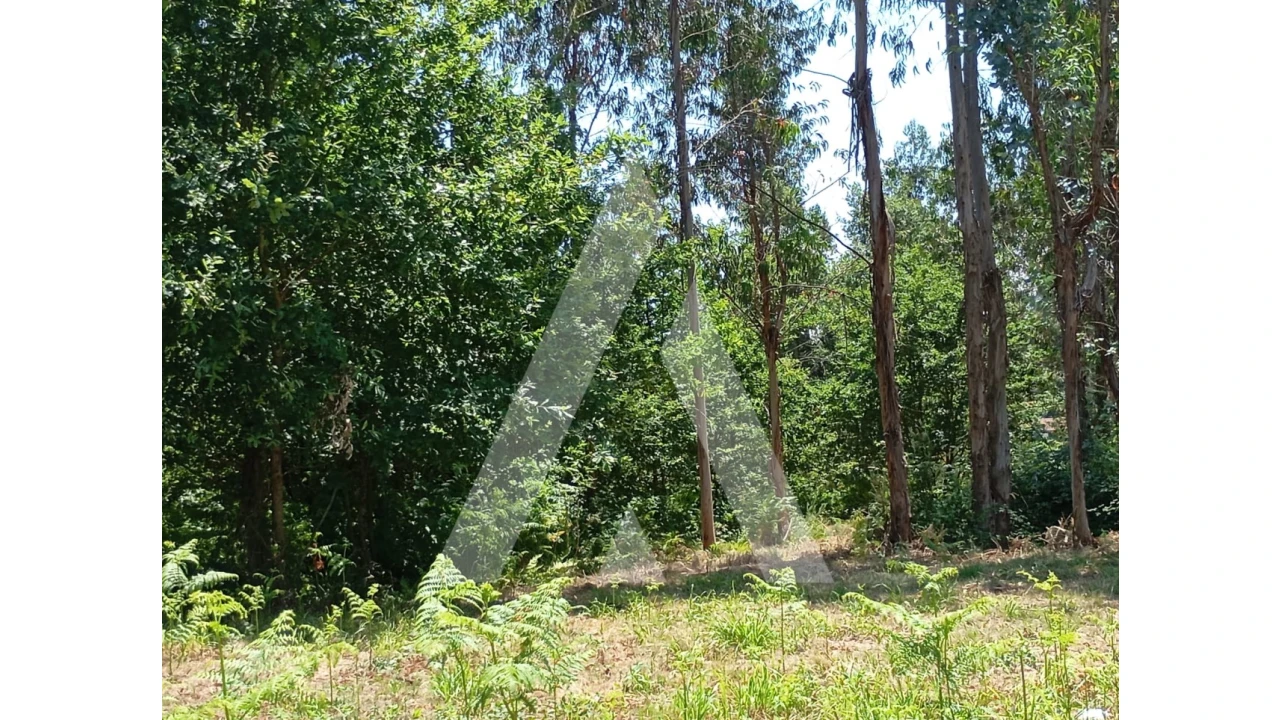 Terreno para Venda em Guilhufe e Urrô Foto 6