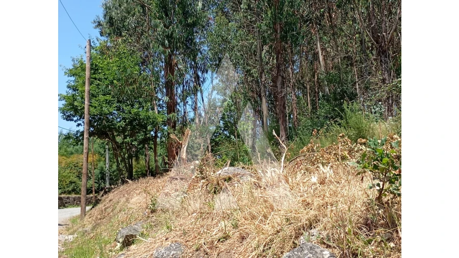 Terreno para Venda em Guilhufe e Urrô Foto 4