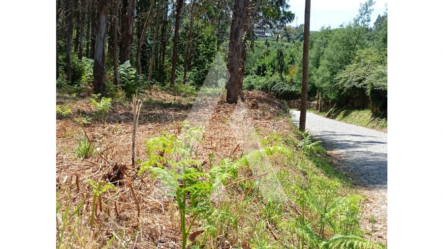 Terreno para Venda em Guilhufe e Urrô Foto 5