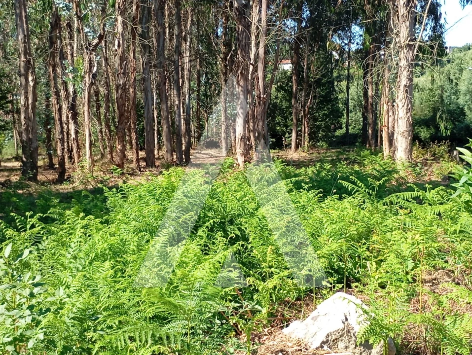 Quinta T2 para Venda em Guilhufe e Urrô Foto 23