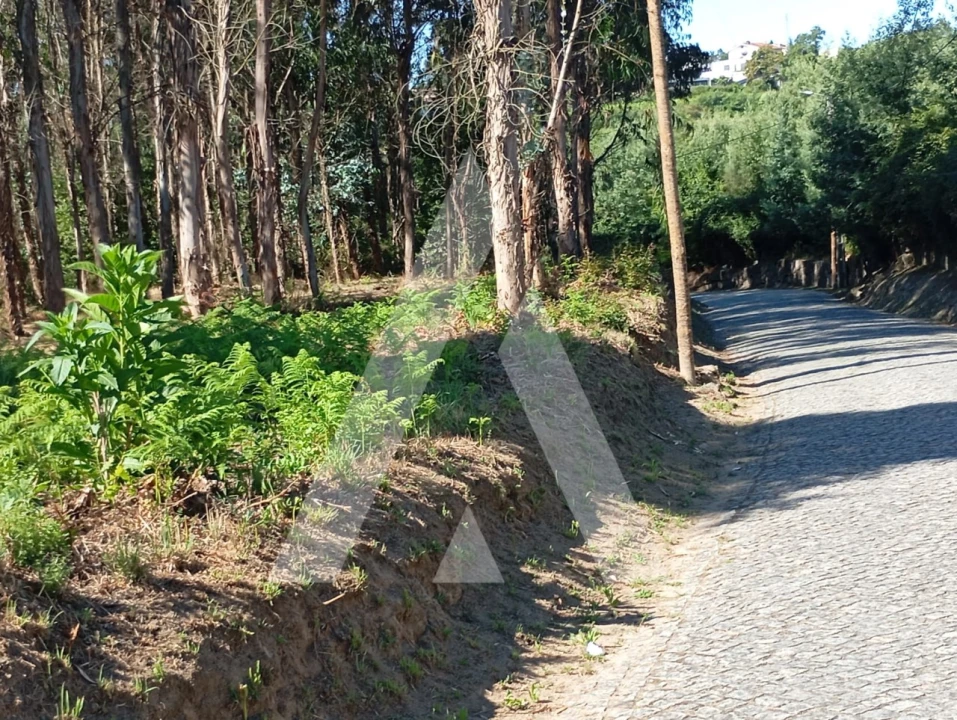 Quinta T2 para Venda em Guilhufe e Urrô Foto 24