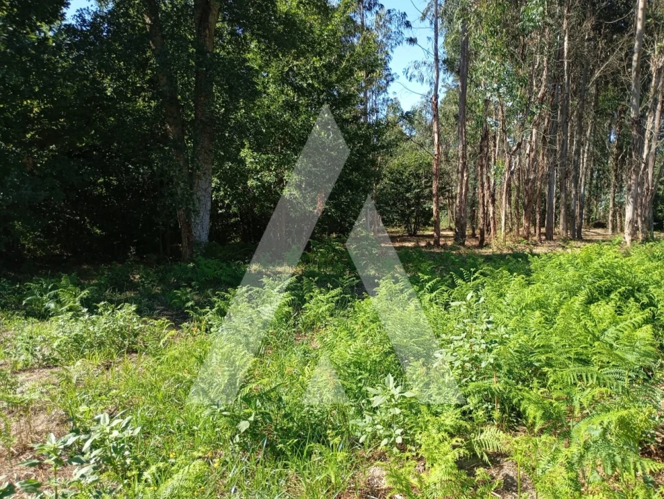 Quinta T2 para Venda em Guilhufe e Urrô Foto 25