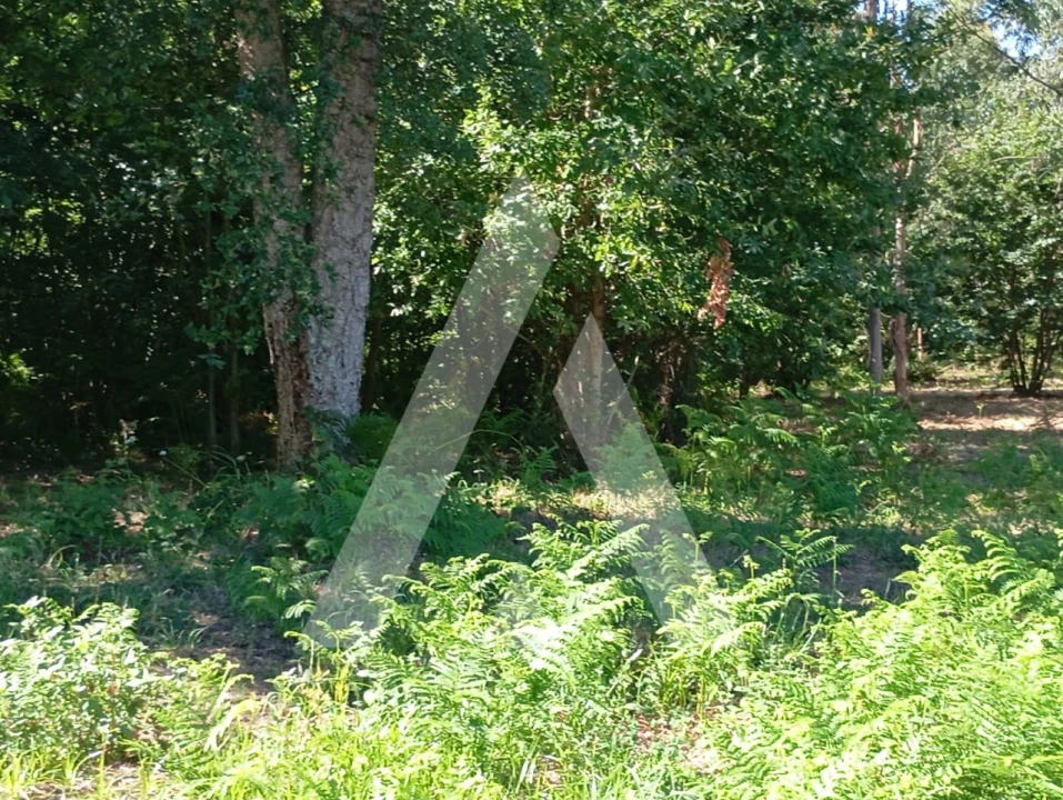 Quinta T2 para Venda em Guilhufe e Urrô Foto 29