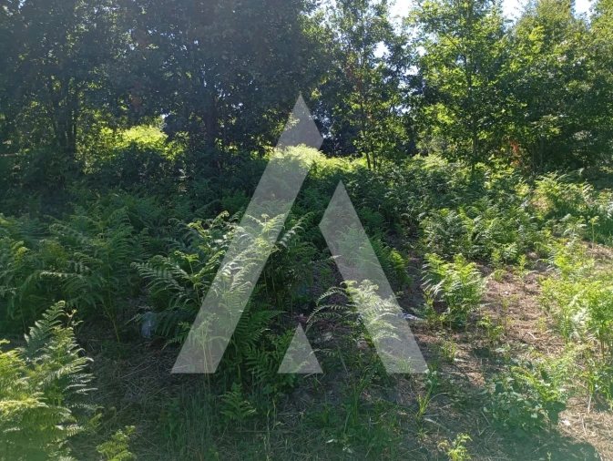 Quinta T2 para Venda em Guilhufe e Urrô Foto 26