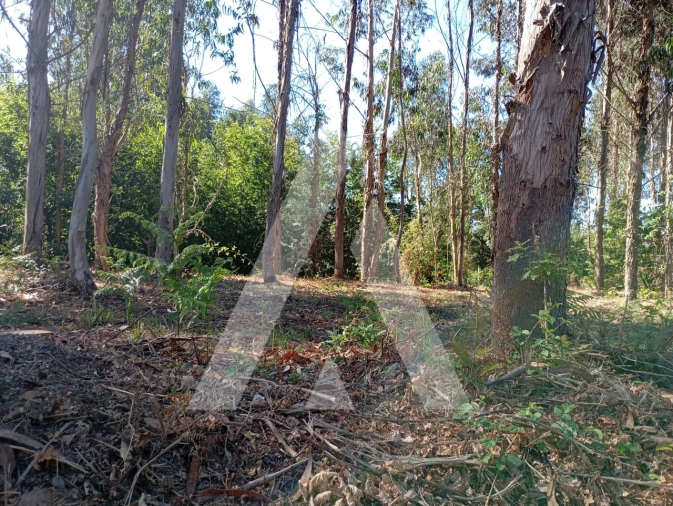 Quinta T2 para Venda em Guilhufe e Urrô Foto 27