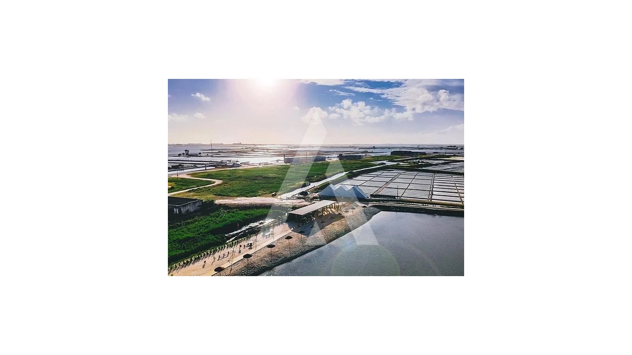 Moradia T6 para Venda em Gafanha da Boa Hora Foto 16