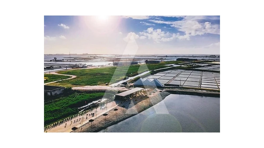 Moradia T6 para Venda em Gafanha da Boa Hora Foto 16