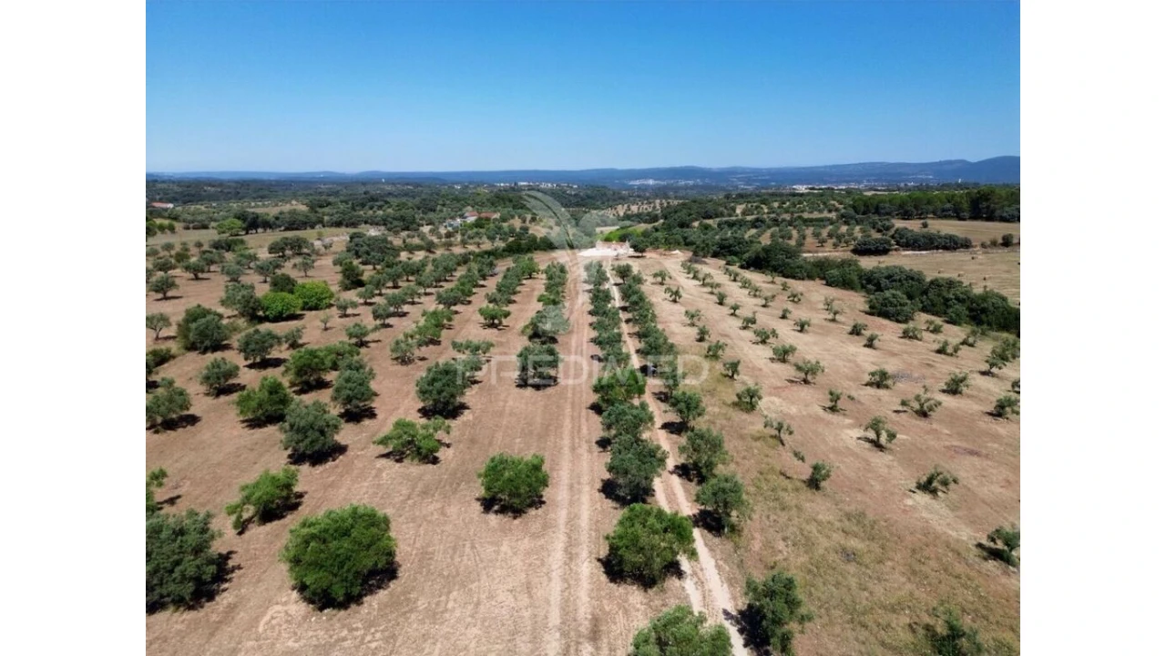 Quinta para Venda em Casével e Vaqueiros Foto 4