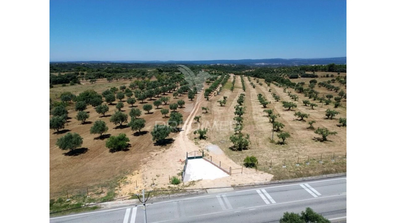 Quinta para Venda em Casével e Vaqueiros Foto 2
