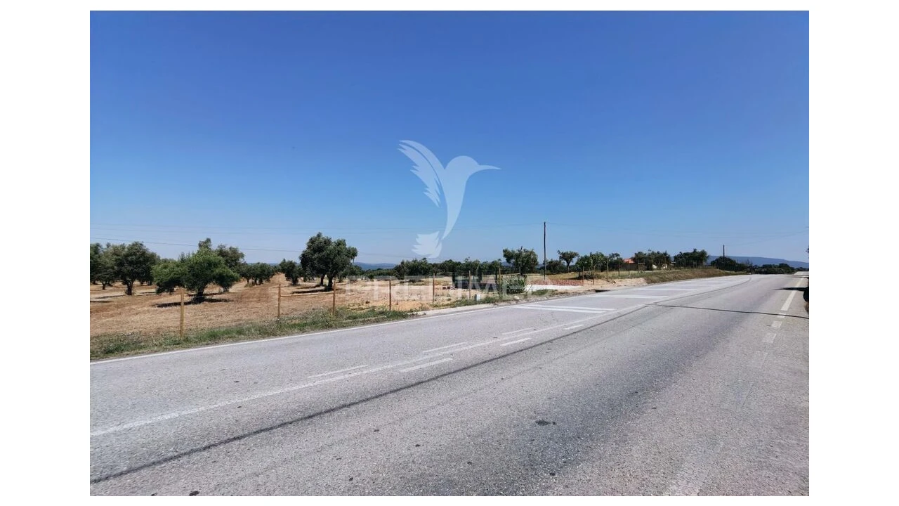 Quinta para Venda em Casével e Vaqueiros Foto 6