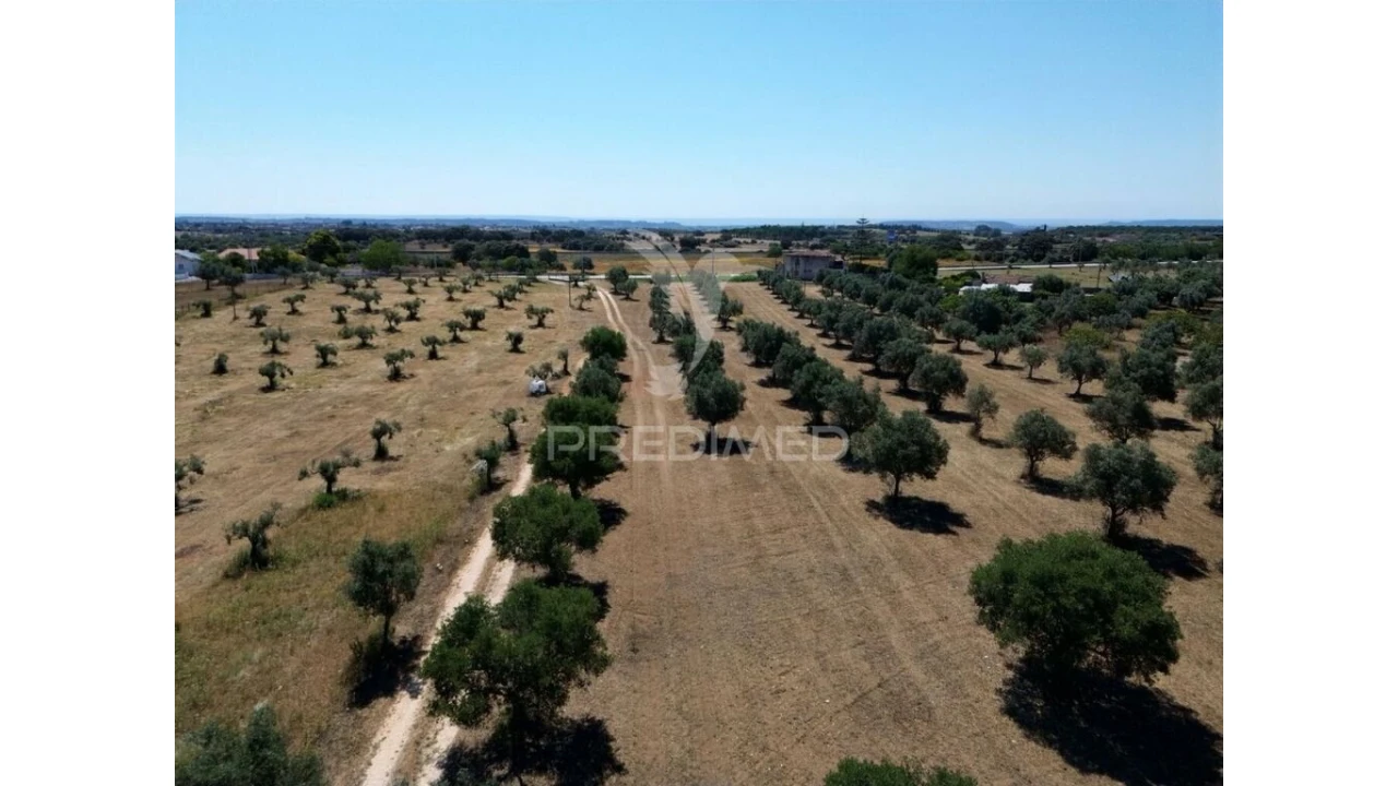 Quinta para Venda em Casével e Vaqueiros Foto 10