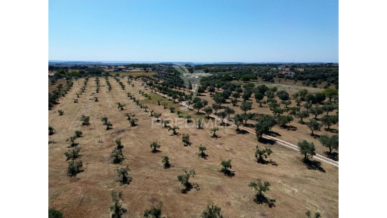 Quinta para Venda em Casével e Vaqueiros Foto 16