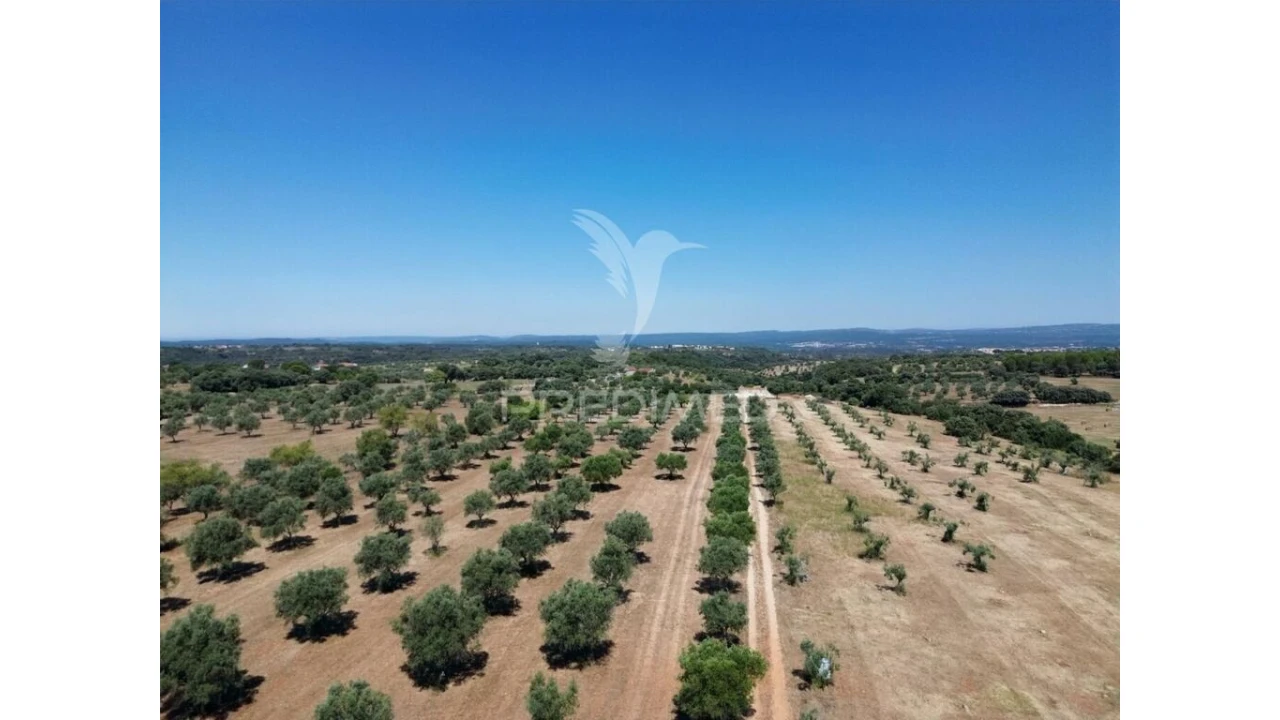 Quinta para Venda em Casével e Vaqueiros Foto 3