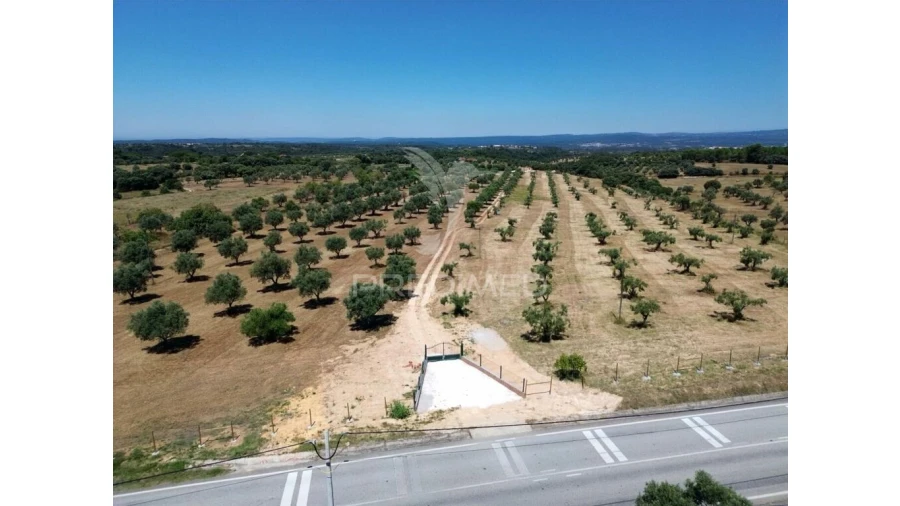 Quinta para Venda em Casével e Vaqueiros Foto 2