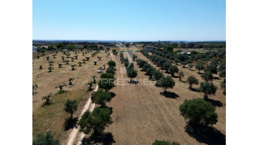 Quinta para Venda em Casével e Vaqueiros Foto 10