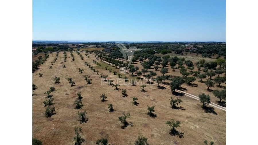 Quinta para Venda em Casével e Vaqueiros Foto 16