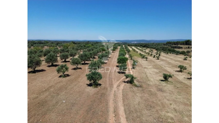 Quinta para Venda em Casével e Vaqueiros Foto 13