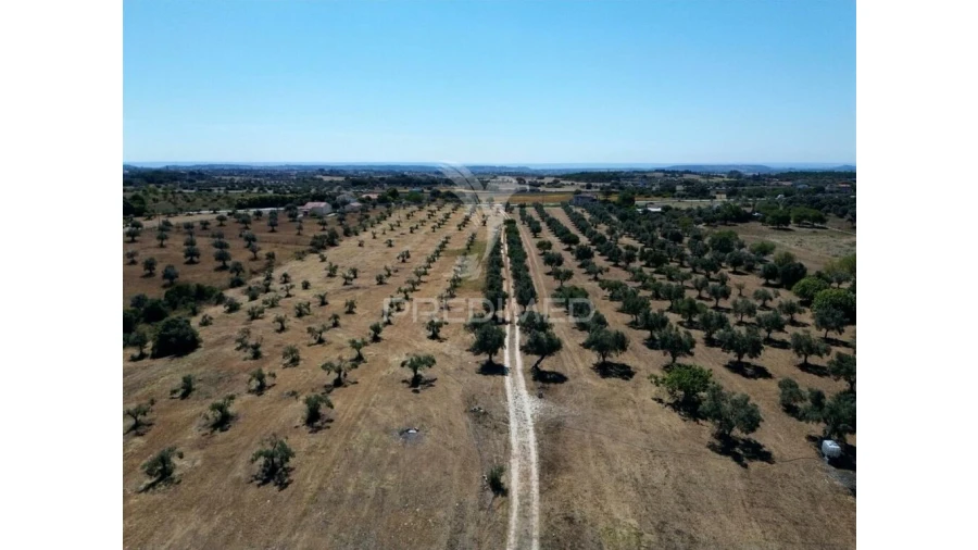 Quinta para Venda em Casével e Vaqueiros